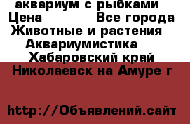 аквариум с рыбками › Цена ­ 1 000 - Все города Животные и растения » Аквариумистика   . Хабаровский край,Николаевск-на-Амуре г.